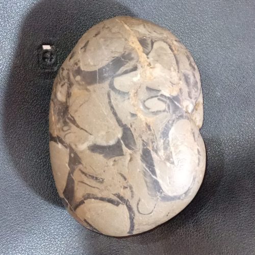 سنگ پالم اسپارتین