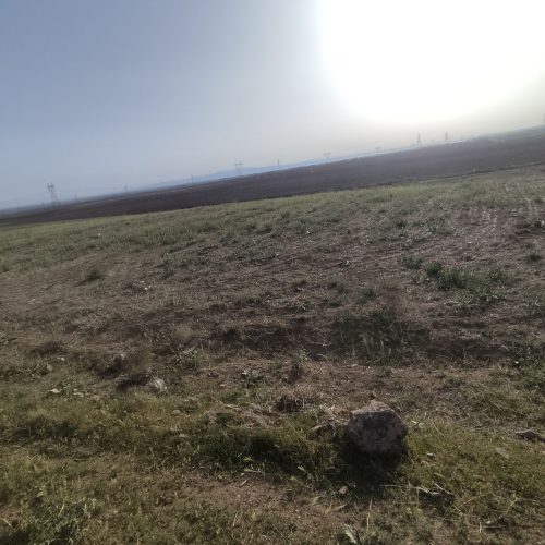 1300 متر زمین معاوضه هم دارم با خودرو