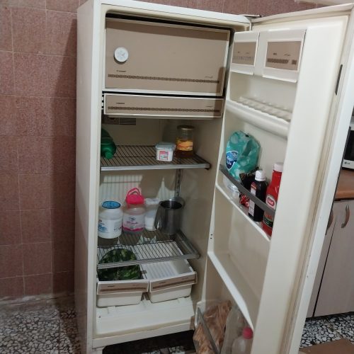 یخچال ارج اصل | کم‌مصرف و جان‌سخت