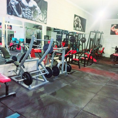 وسایل  ورزشی و بدن سازی