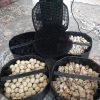 فیلتر سطلی آتمن قوی نو.