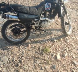 تریل 200 جی وی