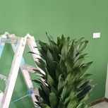 نقاشی ساختمان