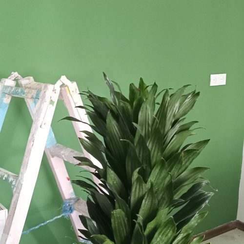 نقاشی ساختمان