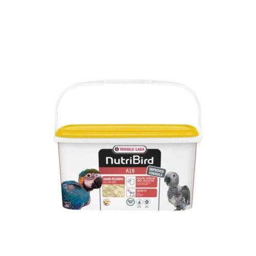 سرلاک پرندگان A19