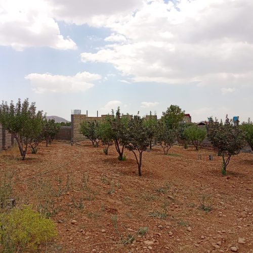 باغچه 1000هزارمتری