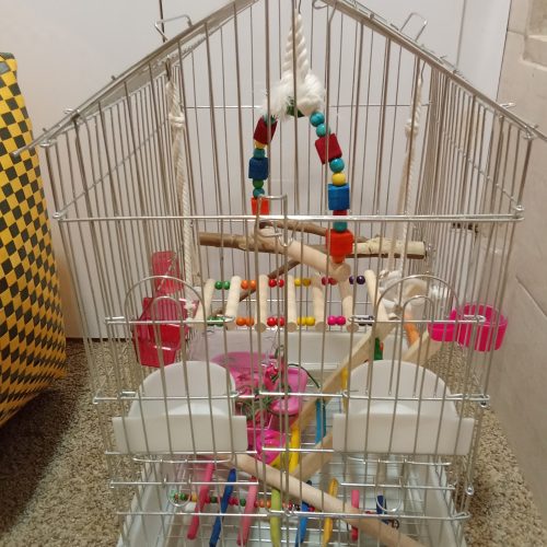 قفس 🐦 پرنده