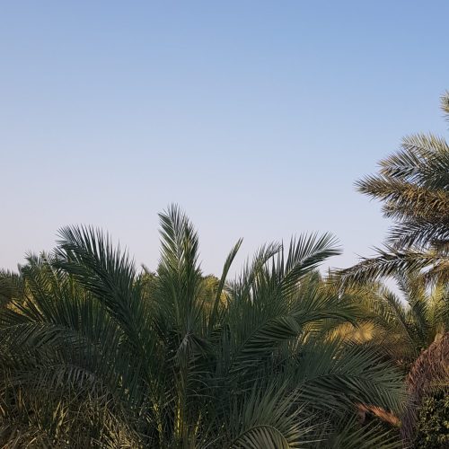 فروش خانه و باغ