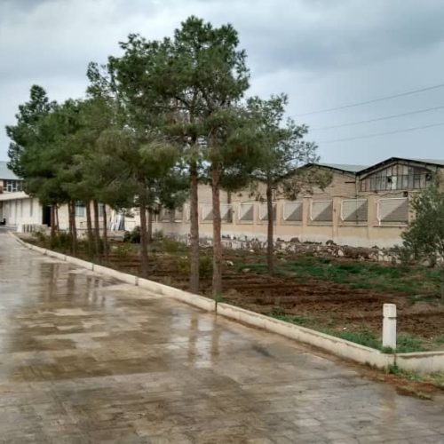زمین حدود ۷۰۰۰ متری دو بر