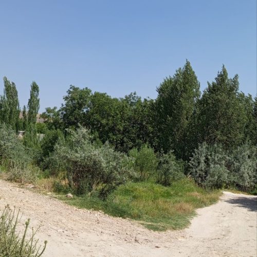 فروش باغ در اقکند