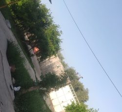 2251 مترزمین چار دیواری خونه باغ +دامداری