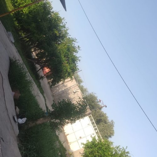 2251 مترزمین چار دیواری خونه باغ +دامداری