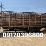 تریلی حمل دام