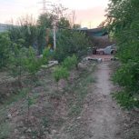 فروش باغ پونصد پنجاه متری