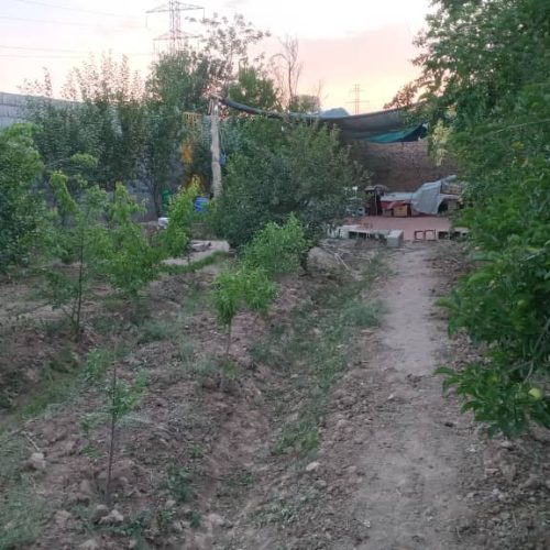 فروش باغ پونصد پنجاه متری