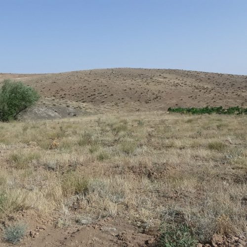 زمین کشاورزی