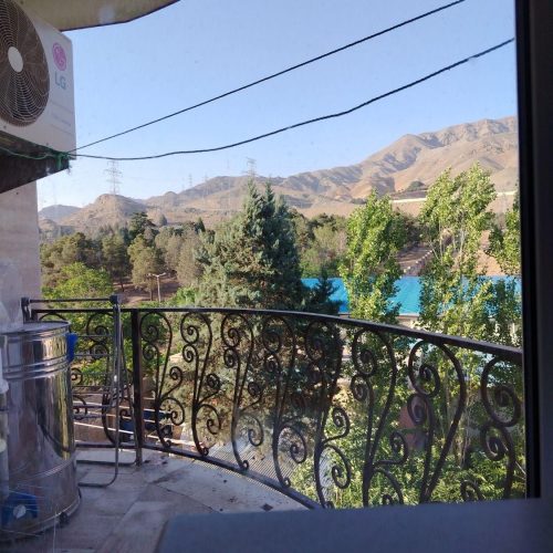 غرق نور با منظره جنگلی