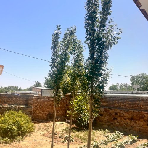 فروش خونه ویلایی بدون مشابه