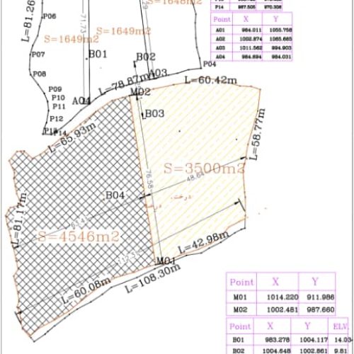 زمین بیدمیری شهر پاوه