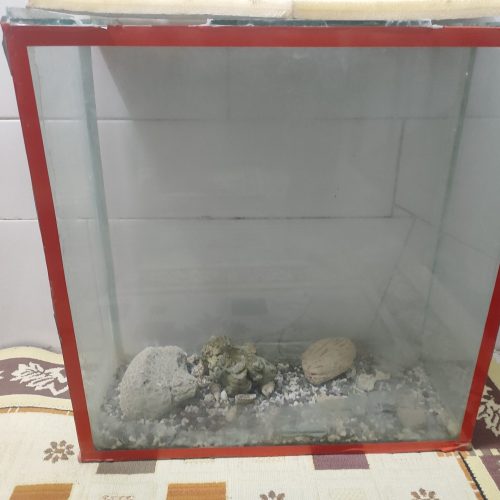 آکواریوم تمیز و سالم