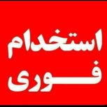 استخدام فوری