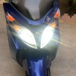 فورزا  اسکاوی، وسپا