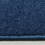 پالاز موکت در حد نو  دوماه کار کرده