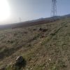 1300 متر زمین معاوضه هم دارم با خودرو