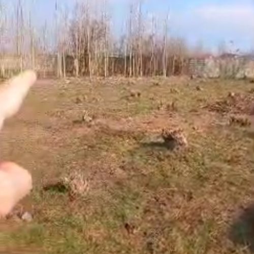 فرصت طلایی خرید زمین