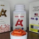 چاقی و لاغری