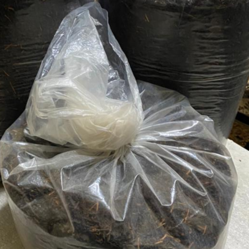 چای ایرانی درجه یک