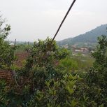 فروش فوری خانه ویلایی و باغ به متراژ 1300 متر