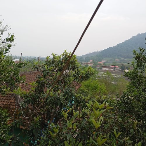 فروش فوری خانه ویلایی و باغ به متراژ 1300 متر