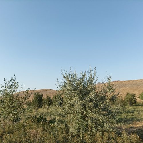 باغ 1600متری راهجرد