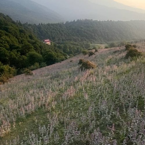 فوری فوری زمین برای ساخت زیراب