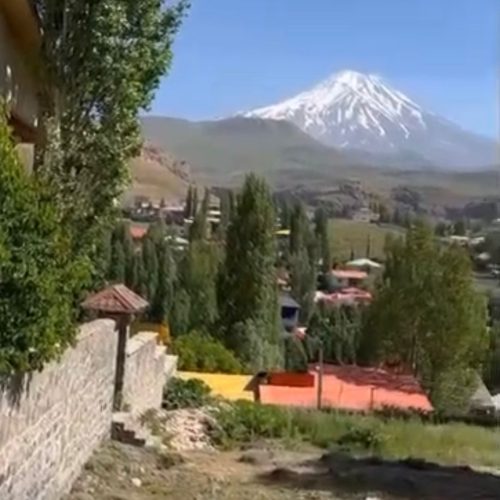 زمین واقع در پلور