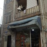 ملک 2طبقه با مغازه