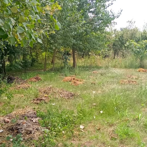 اگه هرکی اپارتمان سه طبقه هم داشته باشه صحبت میکنم