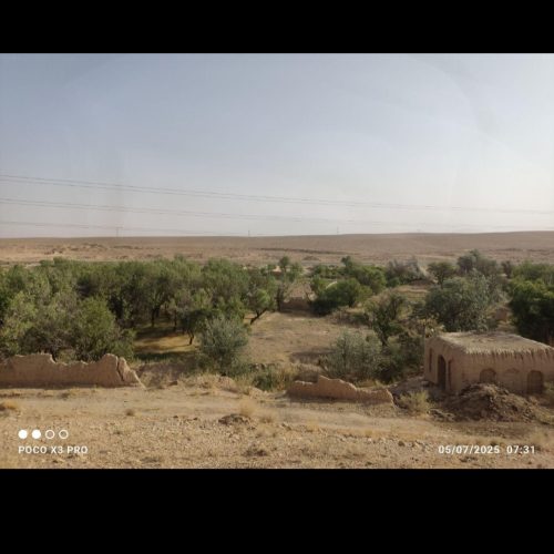 باغ بادام بعد برزک فوری