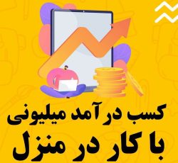 ادمینی با درآمد بالا