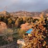 غرق نور با منظره جنگلی