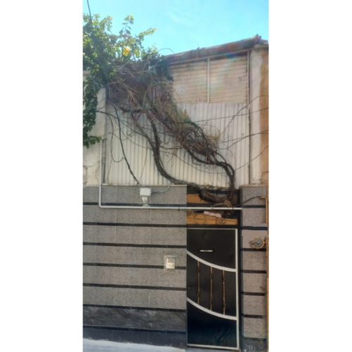 رهن کامل منزل ویلایی مسکونی با امکانات فول