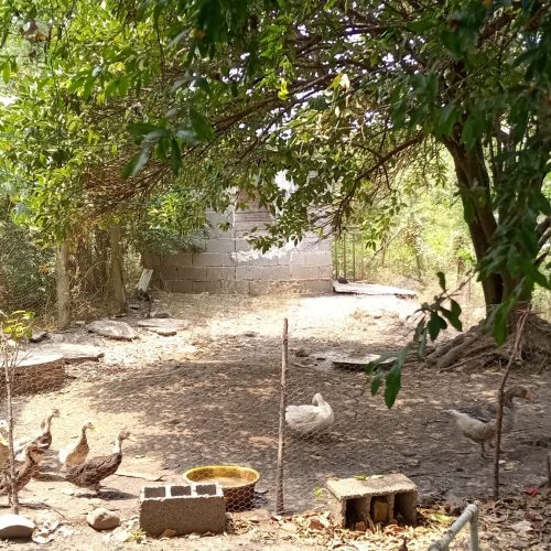 اگه هرکی اپارتمان سه طبقه هم داشته باشه صحبت میکنم