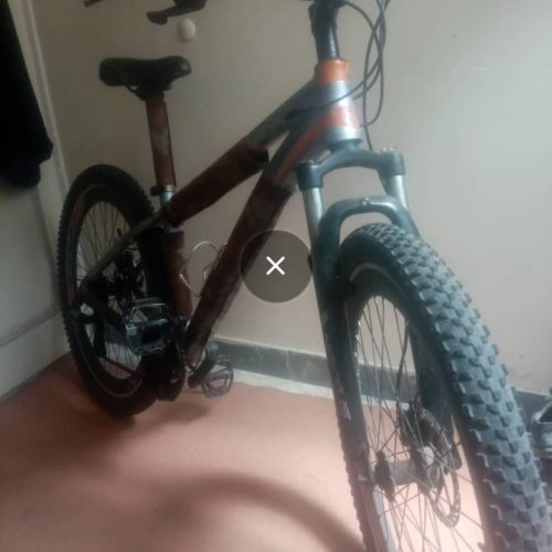 دوچرخه در حد نو