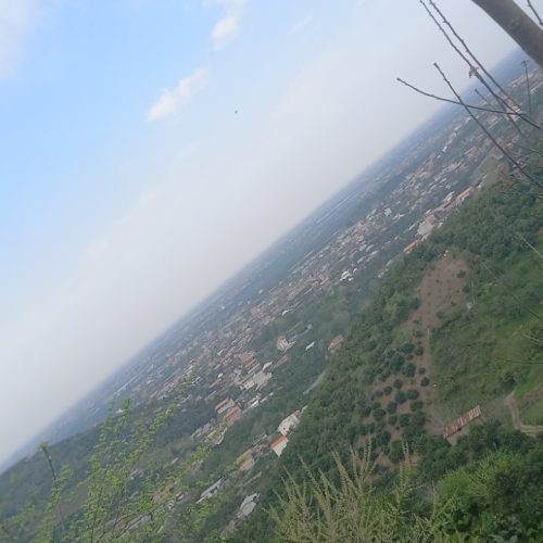 فروش زمین با ویوی عالی سرسبز نزدیک به پارک جنگلی