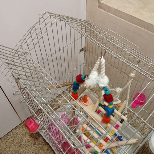 قفس 🐦 پرنده