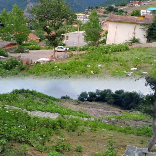 فروش زمین 🖼