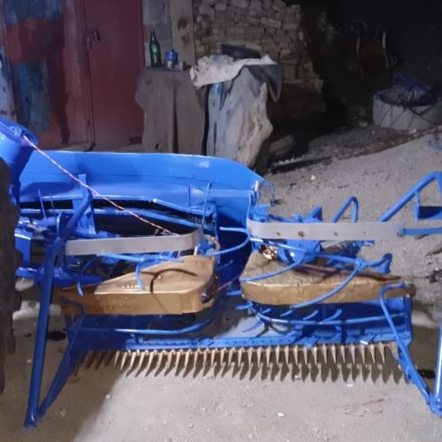 دروگر چقچقه سوزن کوتاه