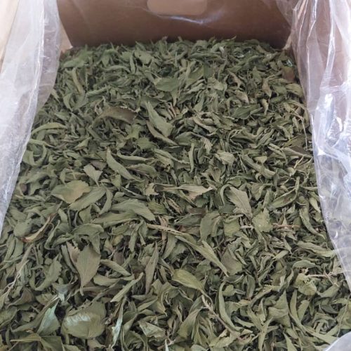 استویا دستچین