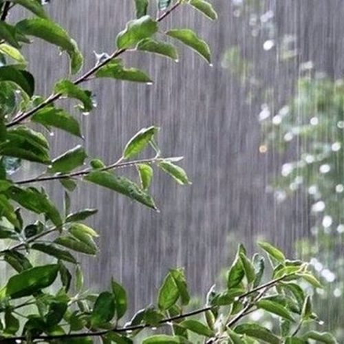 کارگر ساده